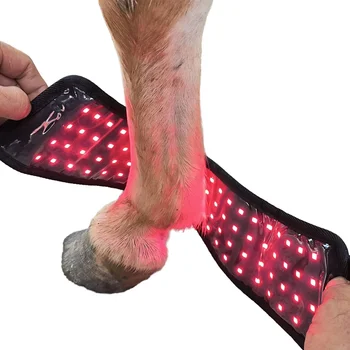 Physiotherapy Portable led horse therapy 1050 nm infrared led horse light therapy customized wavelength