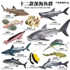 ปลาทะเลลึก ZZ สีสันสดใส 6 ชุด DT Shark 6 ชุด