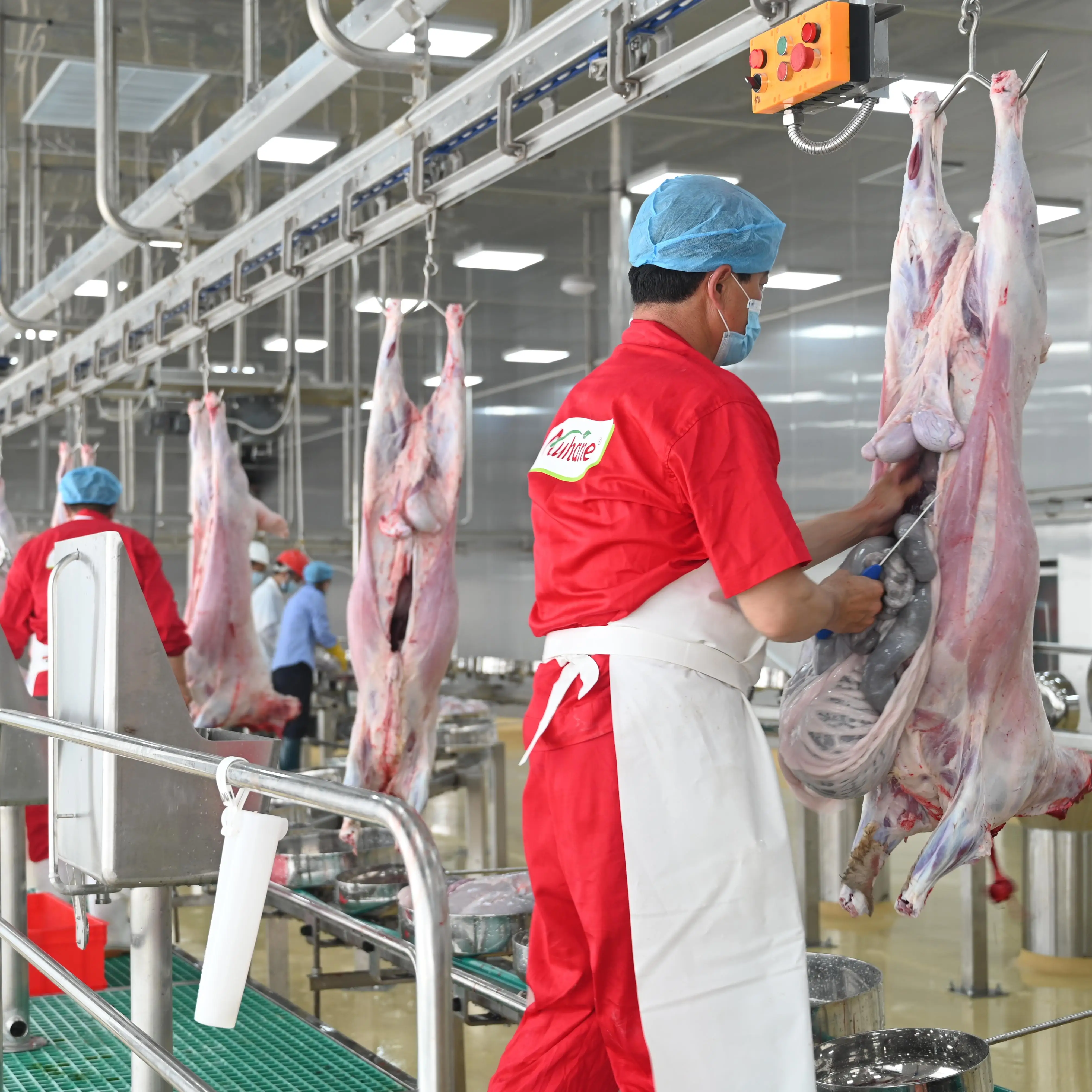 Turnkey Sheep Slaughterhouse Project | One-Stop Automation Equipment and Construction Solutions