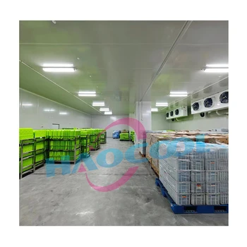 Optimal Storage Solution Industrial Freeze Room Cold Room Condenser Unit with Compressor Panel-New and Used Condition