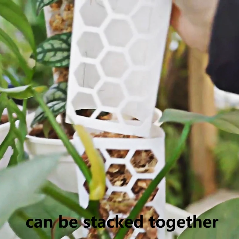 Новая идея для тех, кто увлекается 2022 пластмассы мох полюс стекируемые вьющееся растение опоры для комнатных растений криперы мох палочки