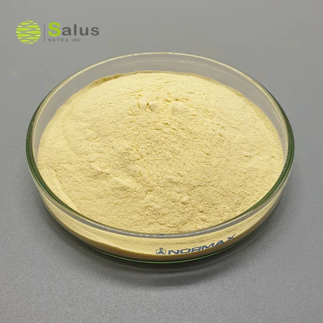 Ферментный порошок бромелина 1200GDU 2400GDU/g