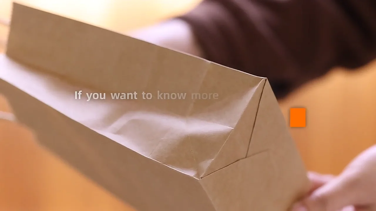 Plain Brown Kraft Paper Bag With Twisted String Handle Custom Paper