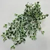 Bianco e verde