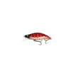 Red Trout