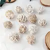 Desert Rose Mineral