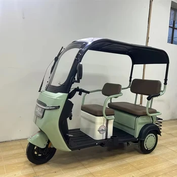High Quality Electric Manned Tricycles Adult Household Electric Vehicle Electro-Tricycle