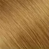Hazelnut #6