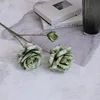 Verde oscuro