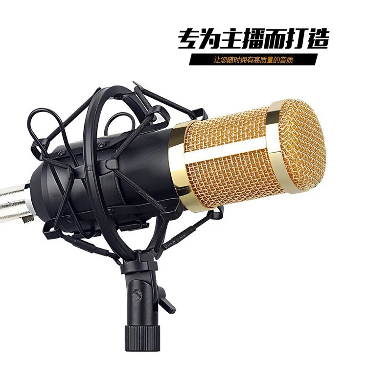 Customizable Handheld Multifunctional Recording Studio Microphone
