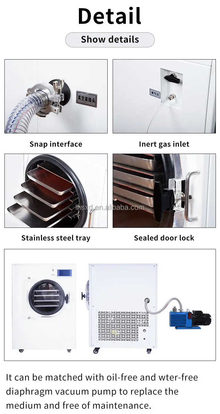 Efficient Freeze Dryer - Vacuum Drying Machine for Food