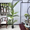 Palma de Areca de 8 pies