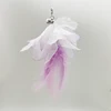 Flor de siete colores-púrpura