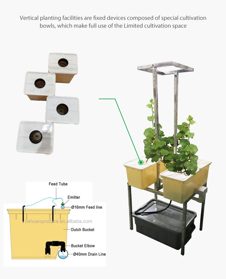 New Hydroponics Dutch Bucket Or Bato Bucket System Suit In Multi-span ...