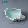 Conches