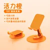 TS18 mobile phone, orange