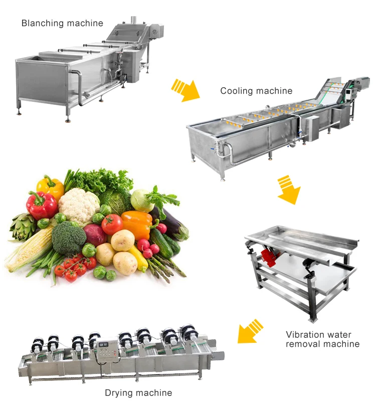 Fish Seafood Eggplant Pineapple Groundnut Noodle Shrimp Blanch Equipment Banana Chips Conveyor vegetable Blanching Machine details