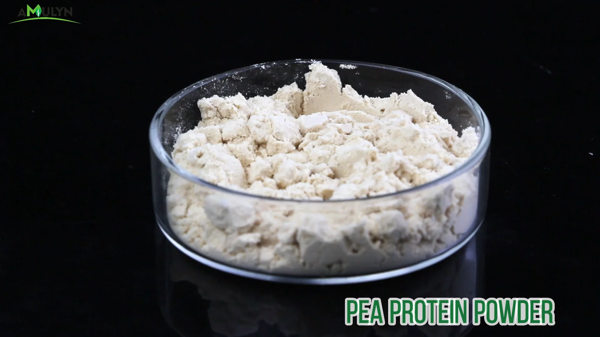 Amulyn 100 Organic Nutritional Supplements Vegan Pea Protein Isolate Powder Buy Hydrolyzed