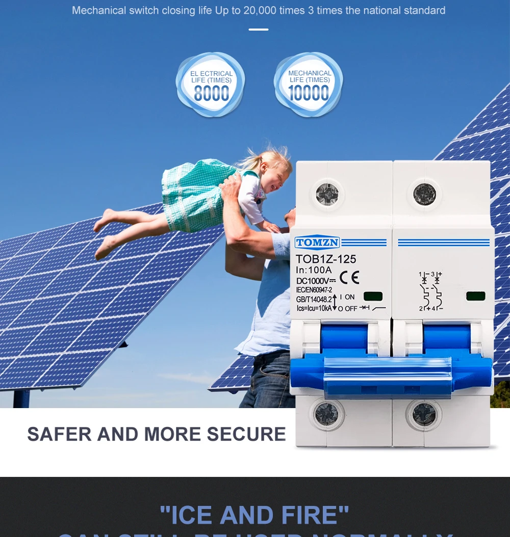 TOMZN 2P DC 1000V MCB 125A 100A 80A Circuit Breaker for PV System C Curve Battery Main Switch