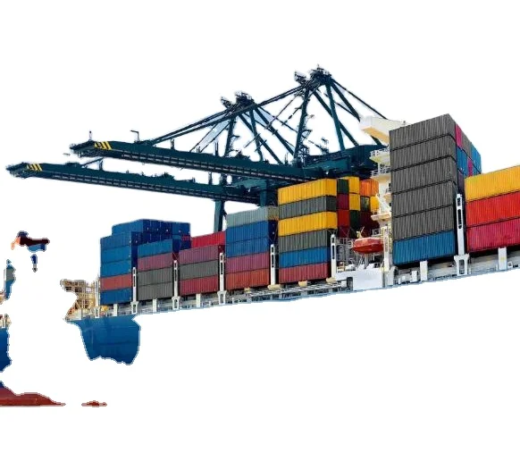 China cheap sea freight international shipping forwarding agent from china to Venezuela / Ecuador / Argentina / Uruguay