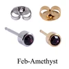 Feb-Amethyst