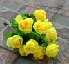 Giallo