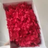 rosso brillante