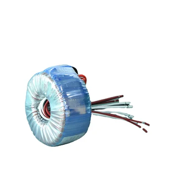 High Quality Toroidal core 50W-5000W input 110V 120V Waterproof Transformers for voltage conterter