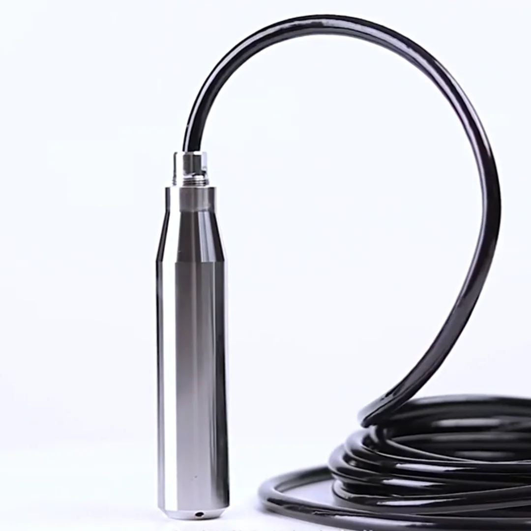 Submersible 4-20ma Rs485 Water Level Sensor For Accurate Measurement In ...