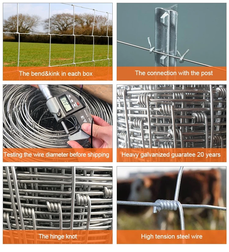 Grassland Goat Sheep Farm Fence Galvanized Livestock Cattle Fence Farm