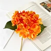 orange clair