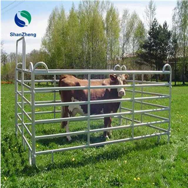 Livestock Metal Galvanized Pipe Fence for