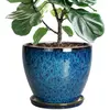 Blue-glaze