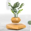 Marrón