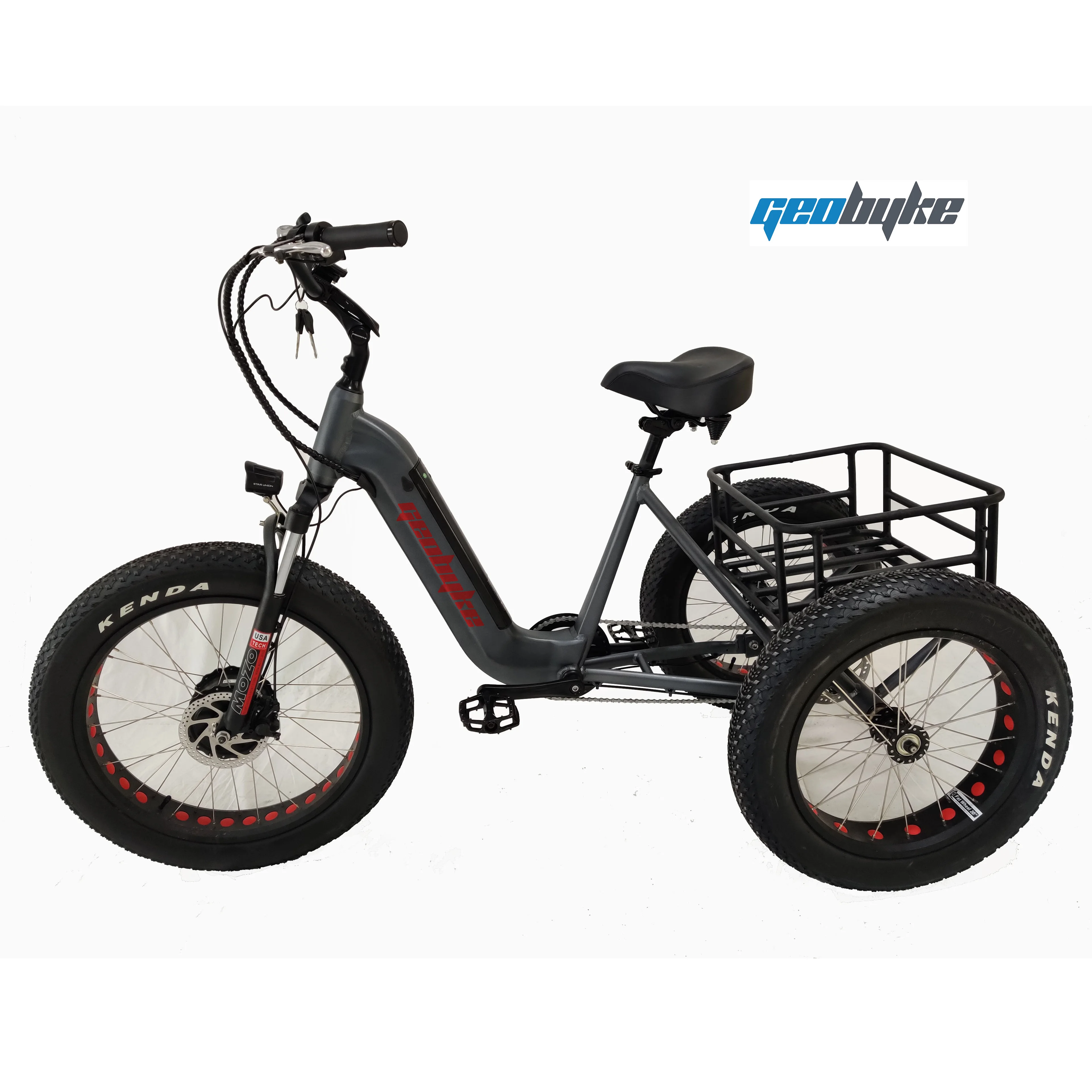Three Wheel Electric Trike Fat Tire 