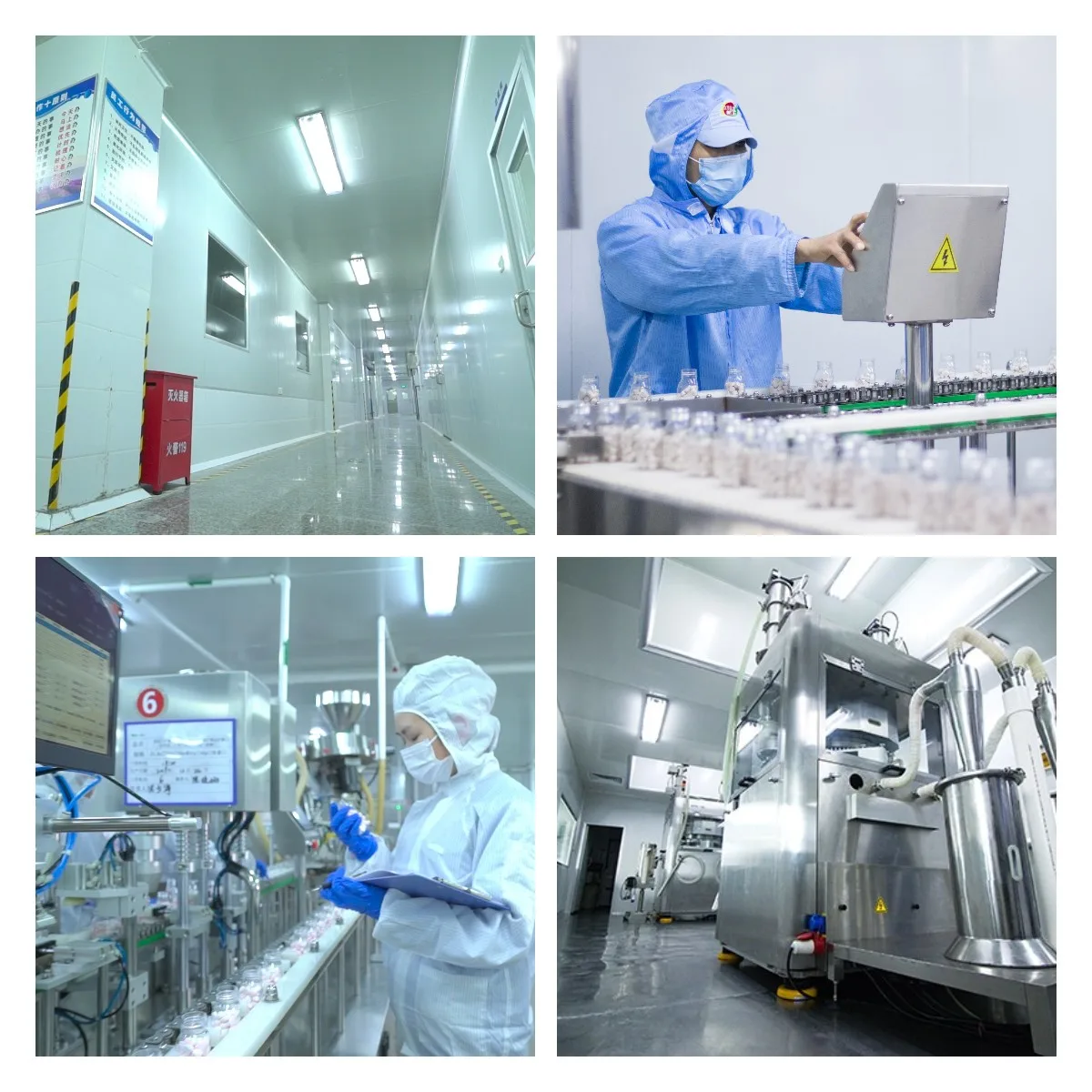 OEM ODM Lemon Flavor Vitamin C Sugar-free Custom Mints Grape Flavor Bulk Candy Fresh Cooling Triangle Mints Strain