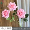 3-Headed Goddess Rose WY Light Pink