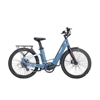 2025 Hot Sale 750W Carbon Fiber Ebike with Two Removable Lithium Battery City Electric Bicycles for Adult
