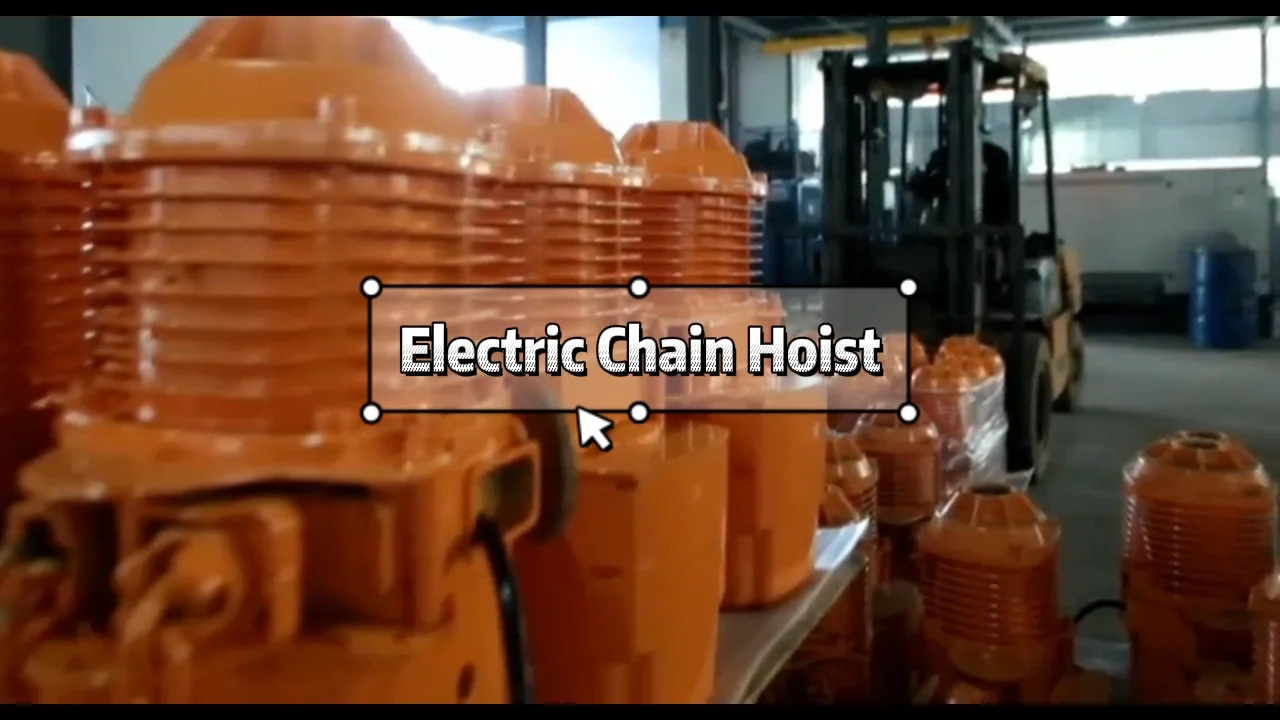0.5 Ton Construction Elevator Electric Chain Hoist / Tower Marine Crane