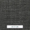 M21737-ANS