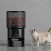 Version vidéo noire