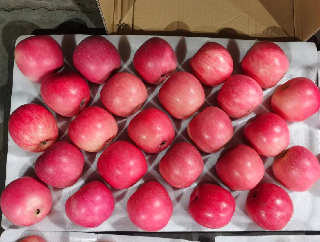 China Fresh Fuji Apple Wholesale Prices Fresh Apple Fruit In Bulk Buy Apple Wholesaler,Apple