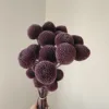 Grape purple