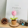 Planta de tulipán rosa en maceta