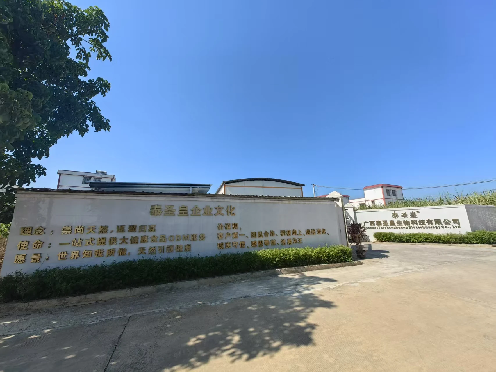 Guangxi Taishenghuang Biotechnology Co., Ltd. 1