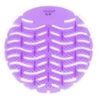 Violet - Saveur Trèfle