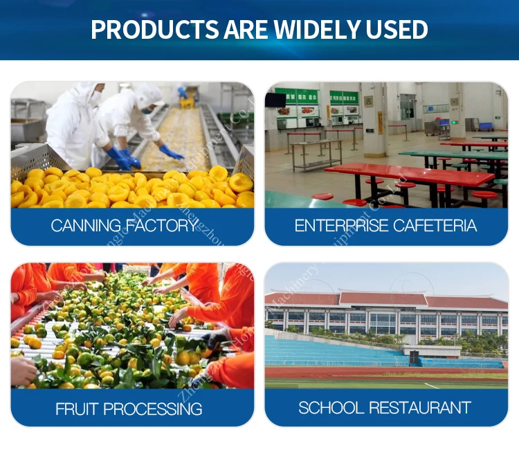 Bamboo Garlic Ginger Slicing Cutting Shredding Machine Automatic Ginger Slicer Machine manufacture
