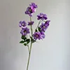 Púrpura