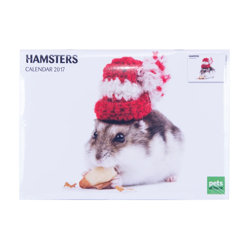 2022 Ultima Calendario 365 Giorni 2022 calendario donne famose