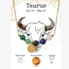 NE240213-2 Taurus